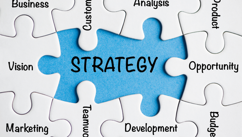 Business Strategy That Works: From Vision to Execution in Complex Organizations